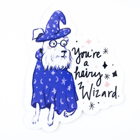 Image of a white dog dressed in a blue wizard’s cape and hat. Black text saying, “You’re a Hairy Wizard”.