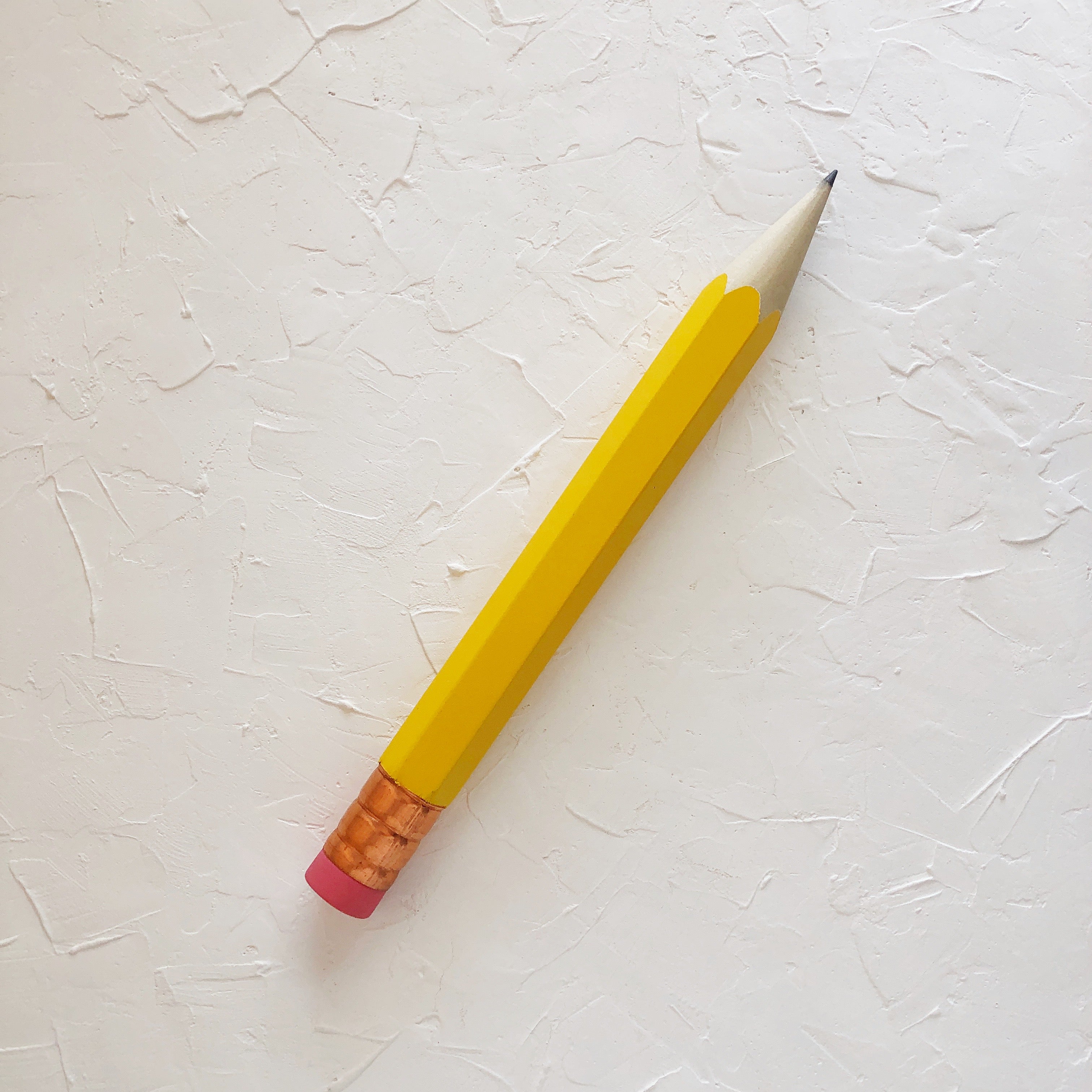 Short And Long Pencil | Ppgbbe.intranet.biologia.ufrj.br